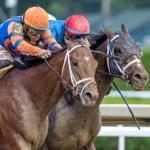 Furious Rally by Renegade Catches Commandment to Win Saratoga's Jim Dandy
